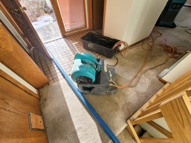Trusted Cudahy, CA Water damage restoration Experts