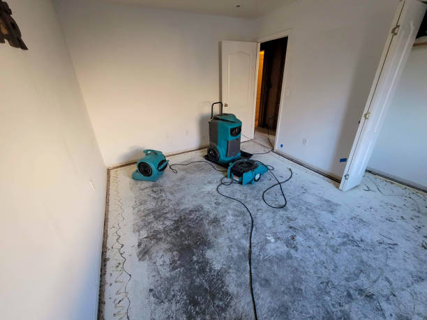Best Basement water damage restoration  in Cudahy, CA