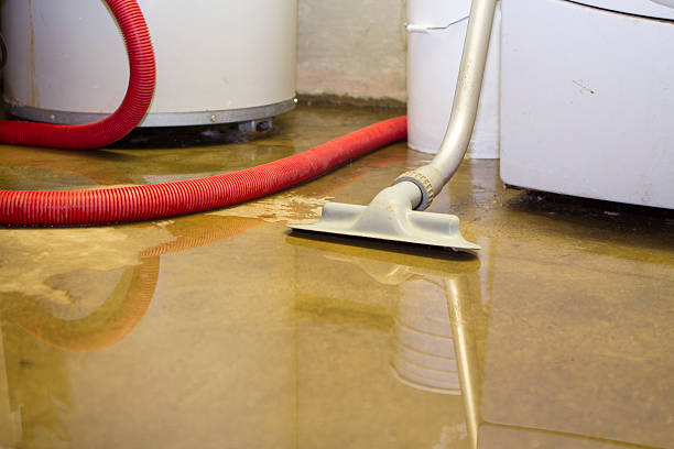 Best Professional water damage repair  in Cudahy, CA