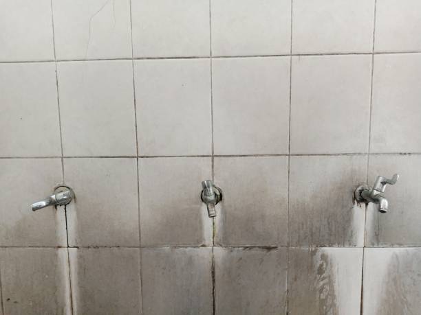 Best Water damage restoration near me  in Cudahy, CA