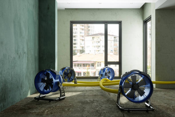Best Local water damage restoration  in Cudahy, CA