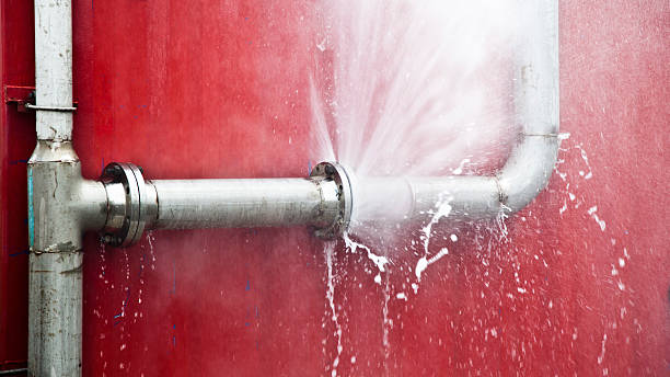 Best Flood damage cleanup  in Cudahy, CA